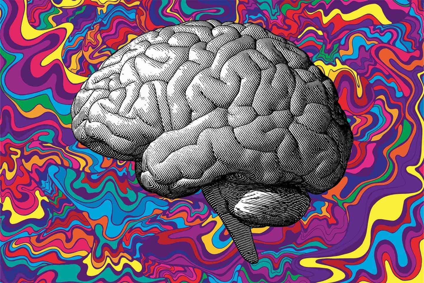 dmt and anxiety